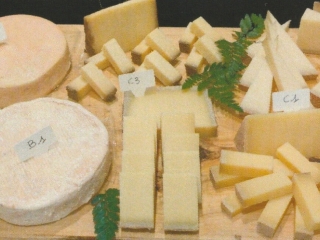 春の🌸１日チーズ教室画像